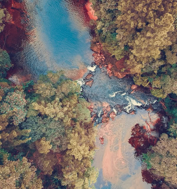 Aerial view of a river flowing through a dense forest with vibrant foliage.
