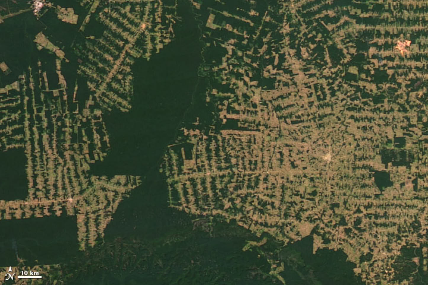 Satellite image showing deforestation patterns in a forested area.