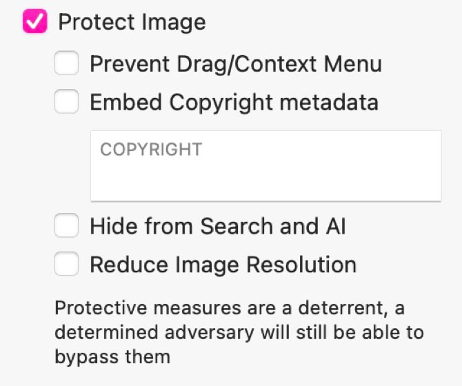Checkbox options for image protection, including preventing drag/context menu, embedding copyright metadata, hiding from search and AI, and reducing image resolution.