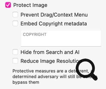Checkbox options for image protection, including preventing drag/context menu, embedding copyright metadata, hiding from search and AI, and reducing image resolution.