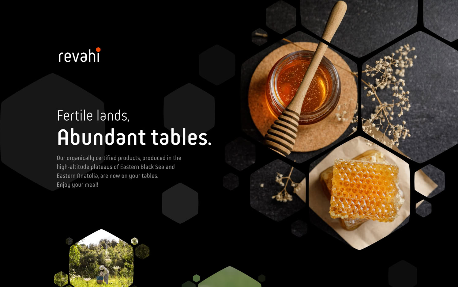 Revahi website, built with Sitely.