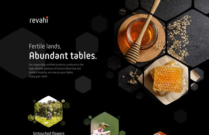 A screenshot of a Sitely-built website